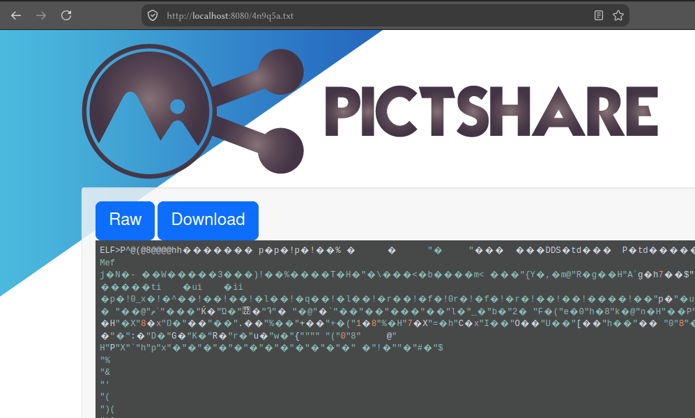 My pictshare instance serving an &rsquo;ls&rsquo; binary.